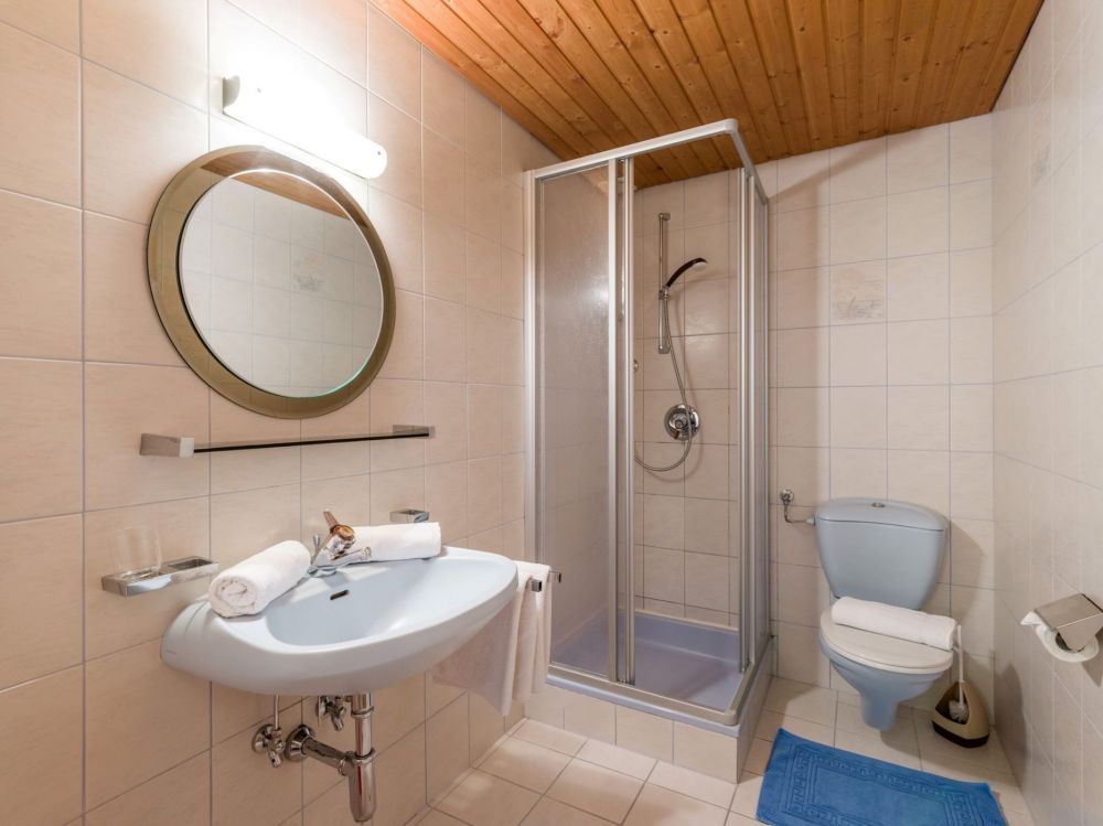 Ferienhotel_Aussicht_Dornau_306_Ferienhaus_Kroell_Badezimmer_4.JPG